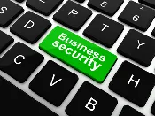 Business IT Management (Monthly Plan)