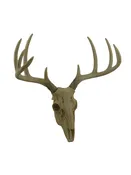 10 Point Buck Deer Skull Mount