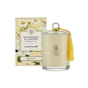 Daisy & Lily Wax candle (330g/11.66 oz, 60 Hours Burn Time)