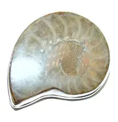 Back to Nature Brown Ammonite Fossil  .925 Sterling Silver handmade Pendant