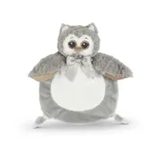 Wee Lil Owlie Owl Blankie