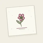 Seeded Paper Card Upgrade — Esotarium Florals & Decor