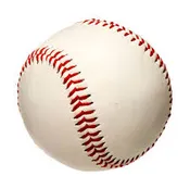 BASEBALL BONANZA