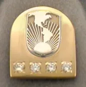25 Year Lapel Pin or Charm