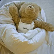 CozyPure Hand-Tied Wool Comforter