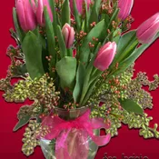tulips for you
