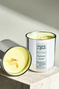 CLEANSING - Verbena Aromatherapy with Selenite CANDLE