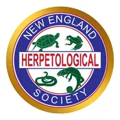 NEHS Membership