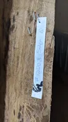 #12208 Elm Slab