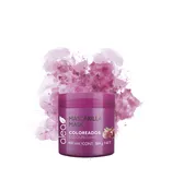 Alea Coloured Hair Mask with Permergranate Extract 13.5 oz