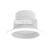 American Lighting 4" 10W LED Retrofit RGBTW