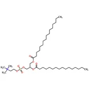 1,2-Dipalmitoyl-rac-glycero-3-phosphocholine