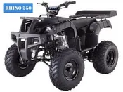 Taotao Rhino 250cc ATV Adult Size
