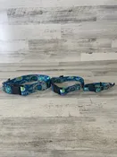 2 Hounds Design Earthstyle Paw Paisley Collar