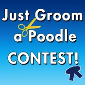 2026 PCA National Specialty Grooming Competition