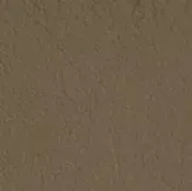 18 Longlife Canyon Leather Swatch
