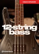 12-String Bass EBX