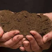 ECOGRO® Compost