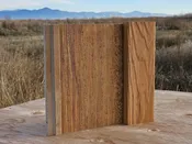 Board & Batten EverLog Siding Sample – Classic Gold