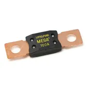 100A Fuse