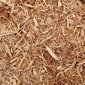 Natural Cypress
