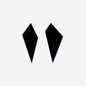 Large Black Shard Earrings
