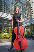 Forte3D® "Old Italian Wood" Cello TOP AND OR BACK