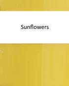 4 oz. Sunflowers