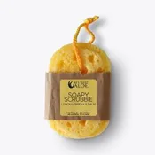 Aloe Scrubbie - Lemon Verbena &amp; Balm