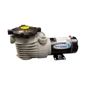 1.0 HP Hurricane Dual Port 2 Speed Pool Pump
