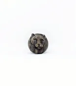 Cougar Cabinet Knob