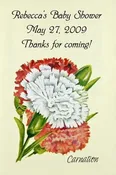 Carnation Baby Shower Seed Favor
