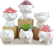 3"Animal Planter White Ceramic