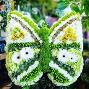 Butterfly Tribute Spray
