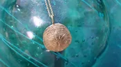 Gold Sand Dollar Pendant — Treasures Fine Jewelry