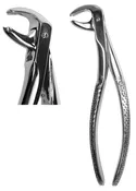 #148 English Forceps  (Z-1028)