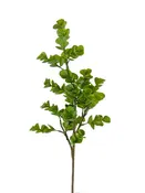 24" Eucalyptus Spray