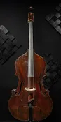 19th Century Northern Italian Bass Violin