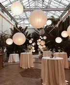 Asian Lanterns