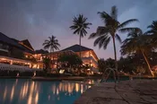 Royal Palm Tree