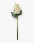 21" Cream Hydrangea