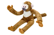 Albert Monkey