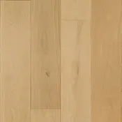 Absolute