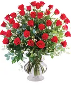 THREE DOZEN RED ROSES