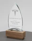 Crystal Achievement Award AAELM41