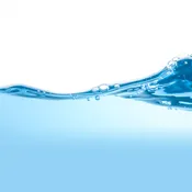 Pure Water - RO (1 Gallon)