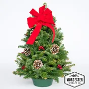 "Classic" Tabletop Tree | Christmas Tree