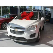 34 Inch Red Windshield Car Bow - Suction Cup