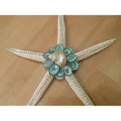 Beach Decor Embellished Starfish with Limpet Shells and Swarovski Crystals — Candy's Cottage