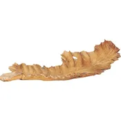 55" Leaf Tray